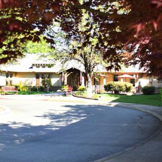 A suburban house surrounded by trees and a curved driveway.