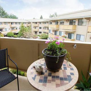 A cozy apartment balcony with a table and potted plant overlooking a residential complex.