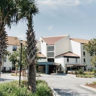 A modern hotel entrance surrounded by palm trees and landscaped grounds.