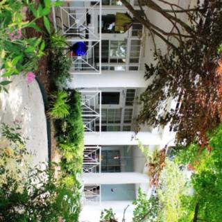 A serene garden view with a house and patio surrounded by lush greenery.