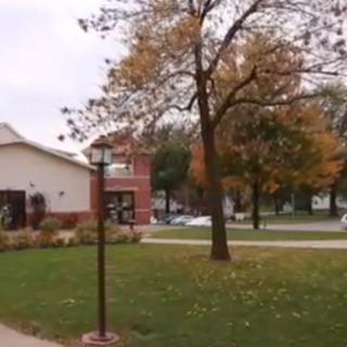 A peaceful autumn scene with a tree shedding leaves near a building and lamp post.