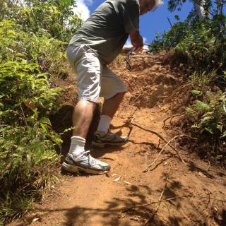 A person climbing a steep dirt trail surrounded by lush greenery on a sunny day.