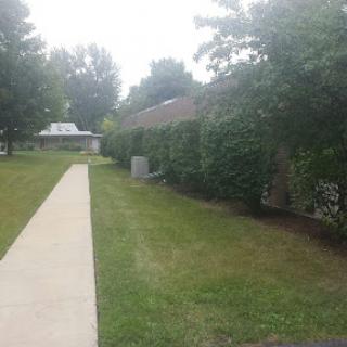 A serene outdoor pathway lined with green hedges and grass, leading to a building in the background.