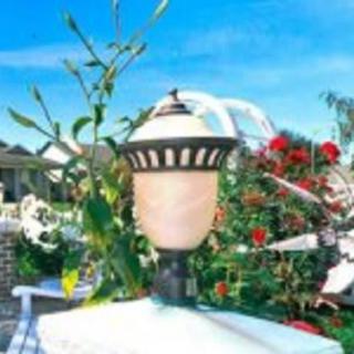An outdoor garden lamp surrounded by vibrant roses and greenery.