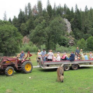 A tractor pulling a trailer full of people in a scenic outdoor setting with trees and greenery.