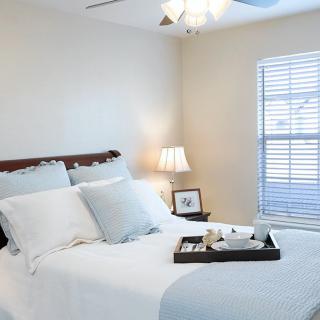 A cozy and modern bedroom with neatly arranged pillows, a bedside lamp, and natural light streaming through the window.