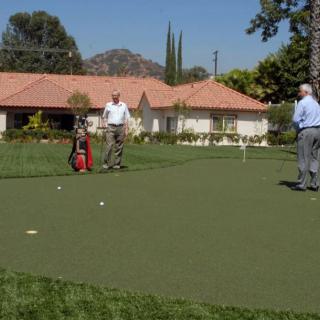 Two people playing golf on a putting green on a sunny day.