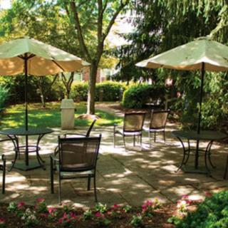 A tranquil garden patio with tables, chairs, and umbrellas under lush trees.