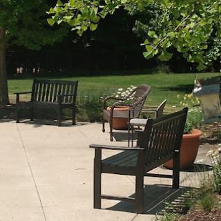 A serene outdoor space featuring benches arranged for relaxation amidst greenery.
