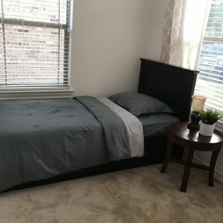 A minimalist bedroom with a single bed, nightstand, and plant by the window.
