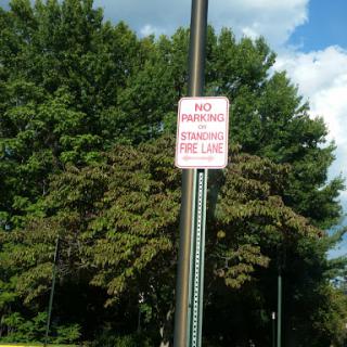 A 'No Parking' sign stands beside a line of trees in an outdoor area.