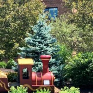 A miniature train in a garden setting with lush greenery and trees.