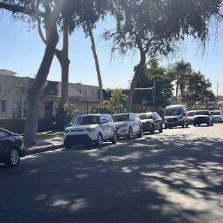 A quiet residential street lined with parked cars and palm trees under a clear blue sky.