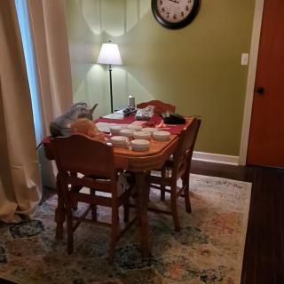 A cozy dining area with a wooden table and chairs, set for a meal, illuminated by a standing lamp.
