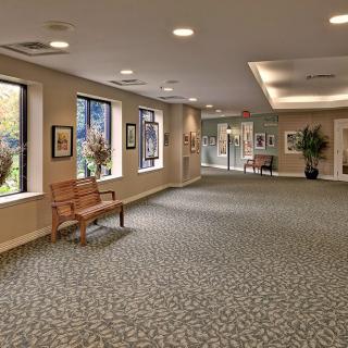 A spacious lobby with carpeting, large windows, decorative plants, and artwork on the walls.