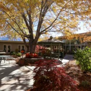 A peaceful courtyard with autumn foliage and sun-dappled pathways.