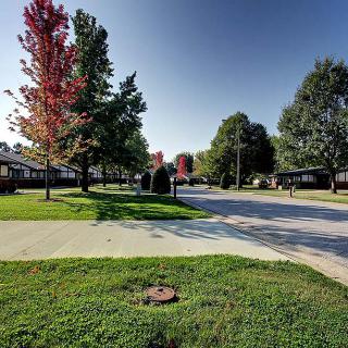 A quiet suburban street lined with trees and houses, displaying vibrant autumn colors.