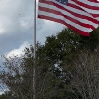 An American flag waves in the breeze with trees and a cloudy sky in the background.