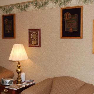 A cozy living room with a lamp, sofa, and framed awards on the wall.
