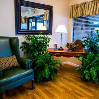 A cozy living room corner with a green armchair, surrounded by lush plants and illuminated by a table lamp.