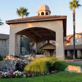 A beautiful hotel entrance surrounded by vibrant landscaping and palm trees.