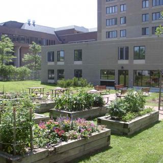 An urban community garden with raised beds in the foreground, situated next to a residential building.