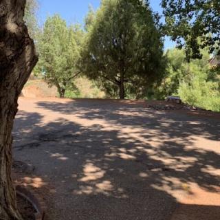 A serene view of a winding pathway surrounded by trees, capturing the play of sunlight and shadows.