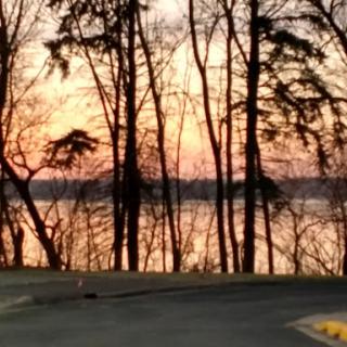 A tranquil sunset by the water, framed by silhouettes of trees.