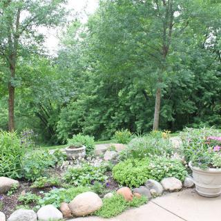 A lush garden with a variety of plants and trees, surrounded by natural greenery.