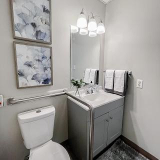 Modern bathroom with a toilet, vanity, and decorative elements.