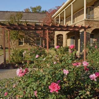 A beautiful garden with blooming roses and a wooden pergola in front of a brick building.