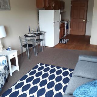 A cozy living space featuring a sofa, patterned rug, small dining table with chairs, and a kitchenette with a fridge.