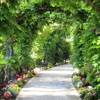 A picturesque pathway surrounded by lush greenery and vibrant flowers under a natural arch.