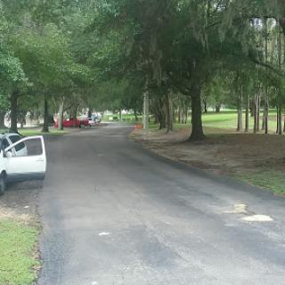 A peaceful road lined with trees in a park setting.