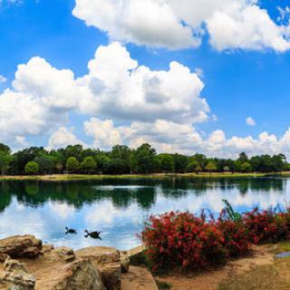 A serene lakeside view with vibrant foliage and fluffy clouds reflecting on the water.