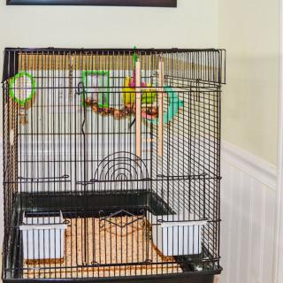 A parrot perched inside a bird cage in a corner of a room.