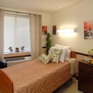 A cozy and well-decorated bedroom with a single bed, accent pillows, potted plants on the windowsill, and wall art.