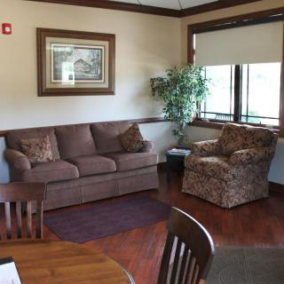 A cozy living room with a brown sofa, patterned armchair, and a coffee table, featuring an indoor plant and large windows.