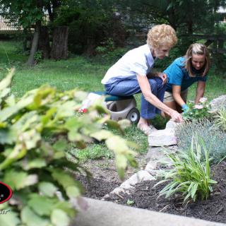 Two people working together in a garden, tending to plants.
