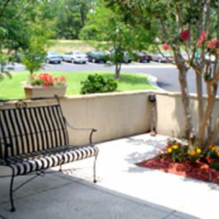 A peaceful outdoor patio featuring a black and white striped bench surrounded by trees and vibrant flower beds.