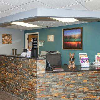 A reception desk in an office with decorative stonework and artwork on the walls.