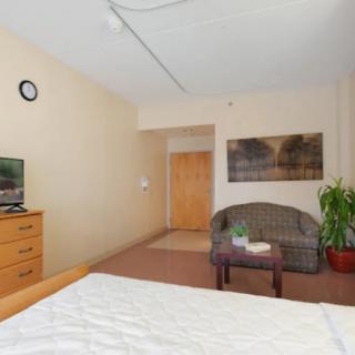 A cozy bedroom with a sofa, television, and decor elements such as a painting and a plant.