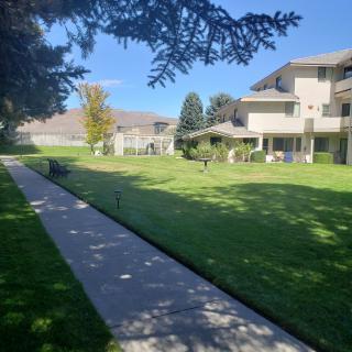 A sunny day view of a grassy area with a pathway and residential buildings.