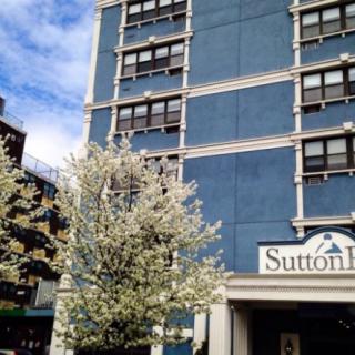 A city hotel named Sutton Inn with blooming trees in front.