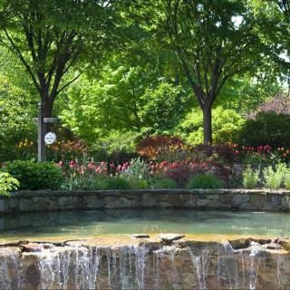 A serene garden scene featuring a small waterfall with surrounding lush greenery and colorful flowers.