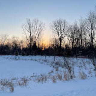 A tranquil winter sunset over a snowy landscape, with trees silhouetted against the fading light.