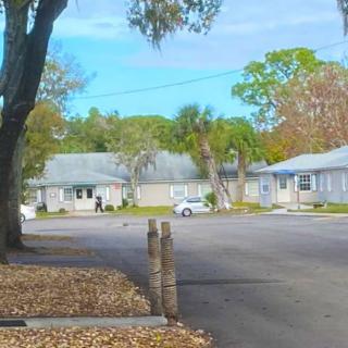 A quiet residential street with houses surrounded by trees during the day.