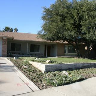 A suburban house with a driveway and a landscaped yard featuring a large tree.