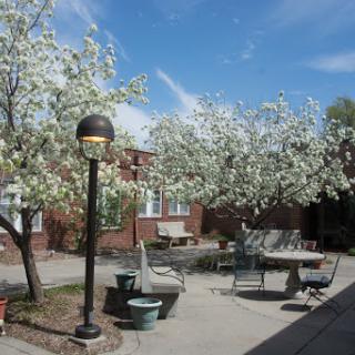 A serene outdoor garden featuring blooming flowering trees and comfortable seating under a clear blue sky.