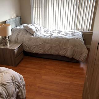 A cozy bedroom with two beds, a lamp on a nightstand, and natural light streaming through the windows.